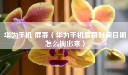 华为手机 屏幕（华为手机屏幕时间日期怎么调出来）