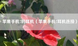 苹果手机7的耳机（苹果手机7耳机连接）