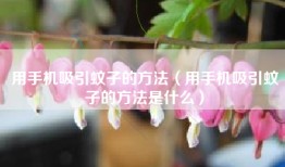 用手机吸引蚊子的方法（用手机吸引蚊子的方法是什么）
