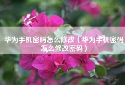 华为手机密码怎么修改（华为手机密码怎么修改密码）