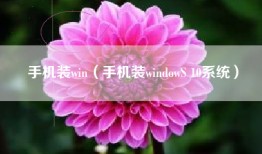 手机装win（手机装windowS 10系统）