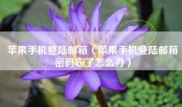 苹果手机登陆邮箱（苹果手机登陆邮箱密码忘了怎么办）