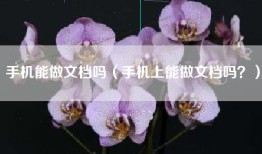 手机能做文档吗（手机上能做文档吗？）