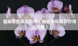 智能手机哪款好用（智能手机哪款好用又实惠）