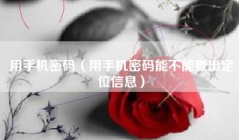 用手机密码（用手机密码能不能查出定位信息）