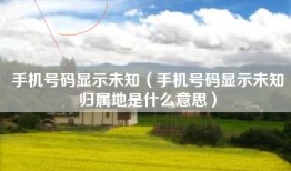 手机号码显示未知（手机号码显示未知归属地是什么意思）