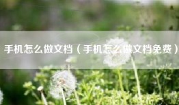 手机怎么做文档（手机怎么做文档免费）