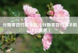 分期零首付买手机（分期零首付买手机什么意思）