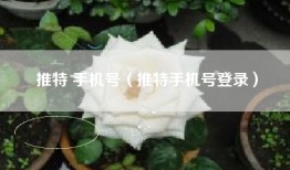 推特 手机号（推特手机号登录）