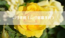 5.3寸手机（5.3寸屏幕手机）