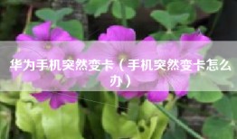 华为手机突然变卡（手机突然变卡怎么办）