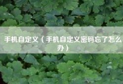 手机自定义（手机自定义密码忘了怎么办）