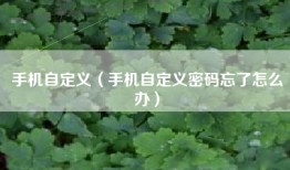 手机自定义（手机自定义密码忘了怎么办）