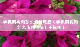 手机的视频怎么传到电脑（手机的视频怎么传到电脑上不模糊）