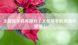 王俊凯手机壳图片（王俊凯手机壳图片壁纸）