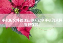 手机的文件管理在哪（安卓手机的文件管理在哪）