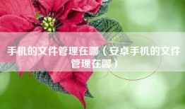 手机的文件管理在哪（安卓手机的文件管理在哪）