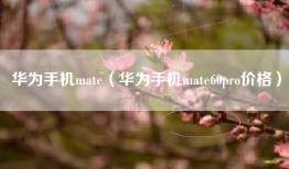 华为手机mate（华为手机mate60pro价格）