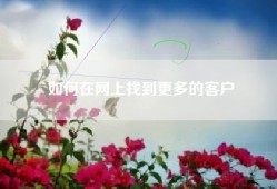 如何在网上找到更多的客户