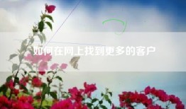 如何在网上找到更多的客户