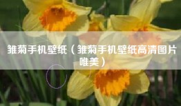 雏菊手机壁纸（雏菊手机壁纸高清图片唯美）