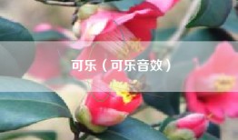 可乐（可乐音效）