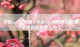 手机mp3转换器（手机mp3转换器连接到手机没反应怎么办）