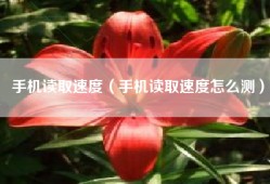 手机读取速度（手机读取速度怎么测）