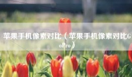 苹果手机像素对比（苹果手机像素对比GoPro）