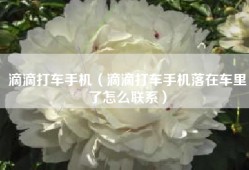 滴滴打车手机（滴滴打车手机落在车里了怎么联系）
