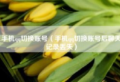手机qq切换账号（手机qq切换账号后聊天记录丢失）