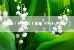 长虹手机图片（长虹手机标志图片）