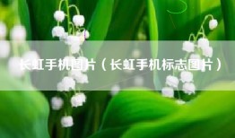 长虹手机图片（长虹手机标志图片）