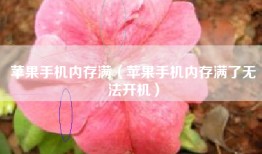 苹果手机内存满（苹果手机内存满了无法开机）