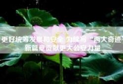 更好统筹发展和安全 为续写“两大奇迹”新篇章贡献更大公安力量