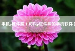 手机p证件照（可以p证件照的手机软件）