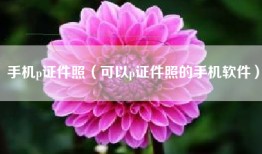 手机p证件照（可以p证件照的手机软件）