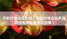 手机打电话没声音（手机打电话没声音微信有声音是怎么回事）