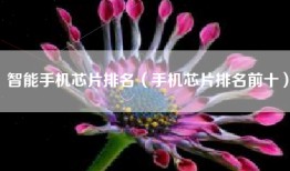 智能手机芯片排名（手机芯片排名前十）