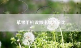 苹果手机设置电量百分比