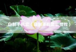 自制手机套（自制手机套装捏捏）
