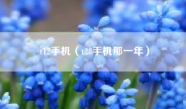 t12手机（t28手机那一年）
