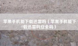 苹果手机能下载迅雷吗（苹果手机能下载迅雷吗安全吗）