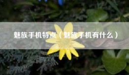 魅族手机特点（魅族手机有什么）