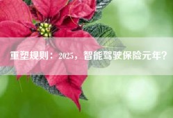 重塑规则：2025，智能驾驶保险元年？