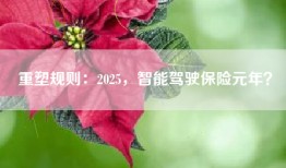 重塑规则：2025，智能驾驶保险元年？