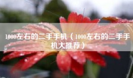 1000左右的二手手机（1000左右的二手手机大推荐）