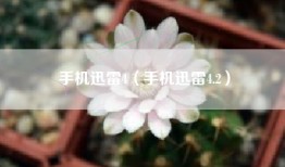 手机迅雷4（手机迅雷4.2）