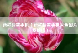 新款翻盖手机（新款翻盖手机大全图片及价格）