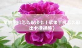 苹果手机怎么取出卡（苹果手机怎么取出卡槽视频）